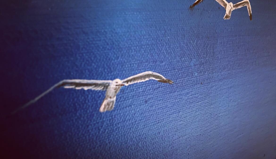 birds