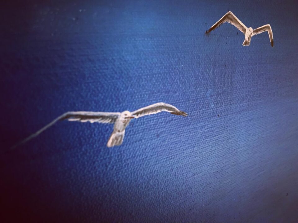 birds